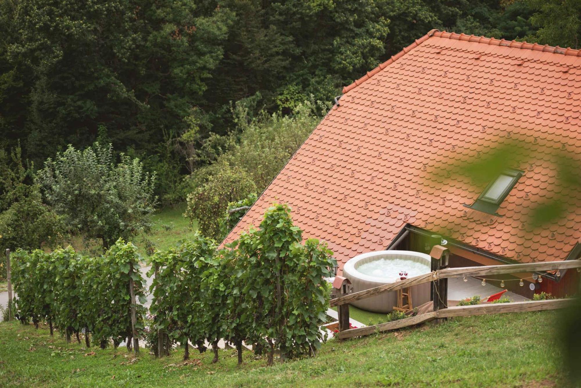 Holiday Home In Skocjan - Kranjska Eksteriør bilde